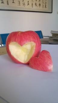 爱心八卦,揭秘娱乐圈温馨瞬间，温情故事汇聚成册