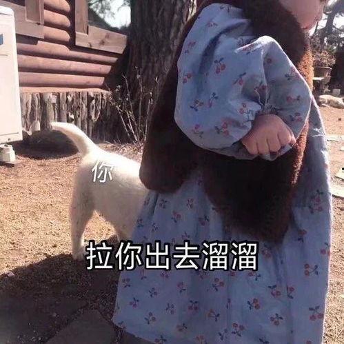 身手不凡表情包,表情包中的英雄风采