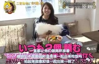 网红与现实,现实与虚拟世界的交织